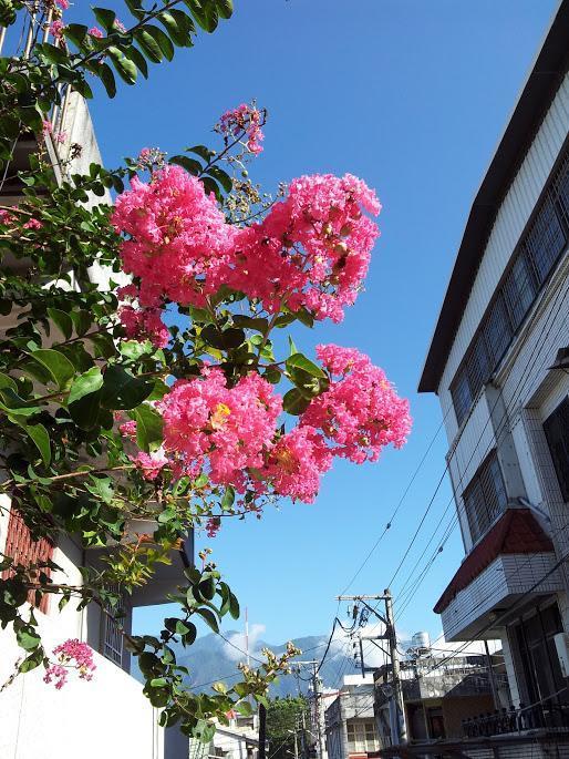 Literature River Bank 文學河岸 民宿 Hualien City Exterior photo