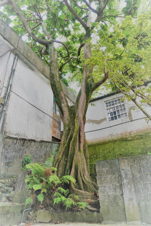 Literature River Bank 文學河岸 民宿 Hualien City Exterior photo